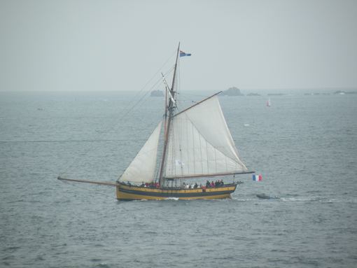  vieux voilier
